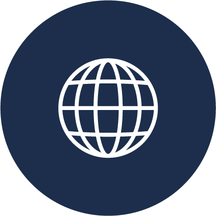 Icon Image